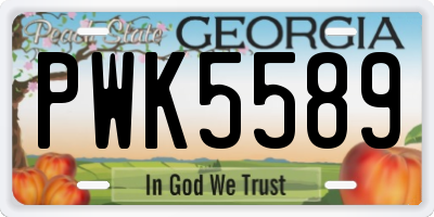 GA license plate PWK5589