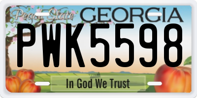 GA license plate PWK5598