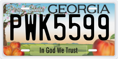GA license plate PWK5599