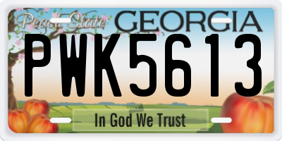 GA license plate PWK5613