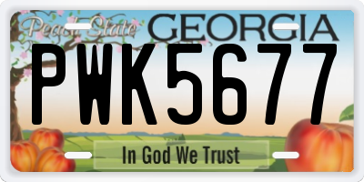GA license plate PWK5677