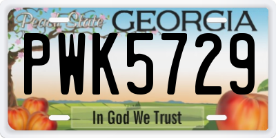 GA license plate PWK5729