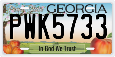 GA license plate PWK5733