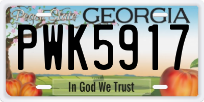 GA license plate PWK5917