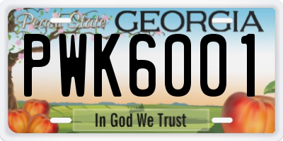 GA license plate PWK6001