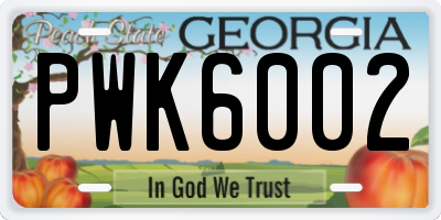 GA license plate PWK6002