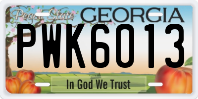 GA license plate PWK6013