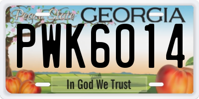 GA license plate PWK6014