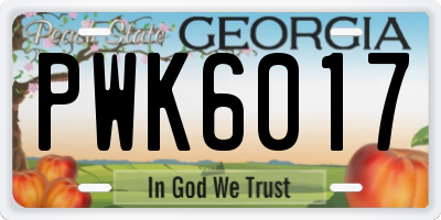 GA license plate PWK6017