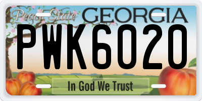 GA license plate PWK6020