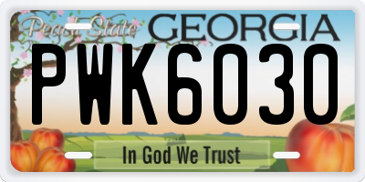 GA license plate PWK6030