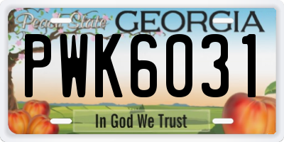 GA license plate PWK6031