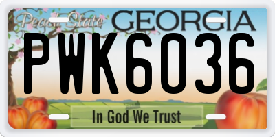 GA license plate PWK6036