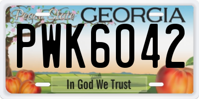 GA license plate PWK6042