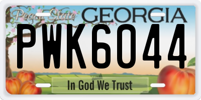 GA license plate PWK6044