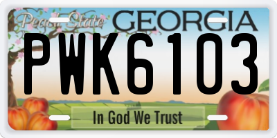 GA license plate PWK6103
