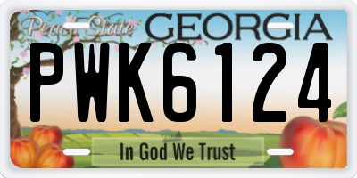 GA license plate PWK6124
