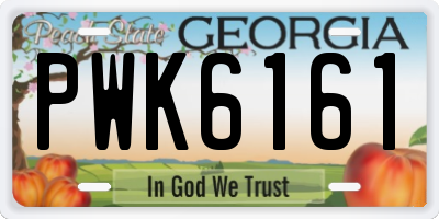 GA license plate PWK6161