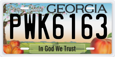 GA license plate PWK6163