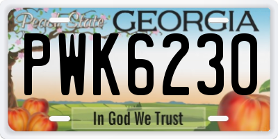GA license plate PWK6230