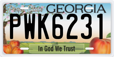 GA license plate PWK6231