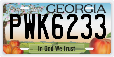 GA license plate PWK6233