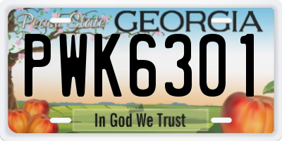 GA license plate PWK6301