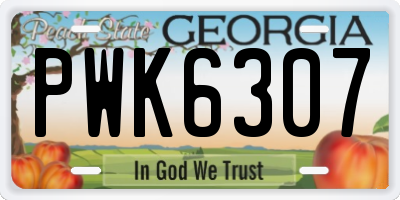 GA license plate PWK6307