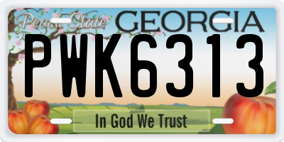 GA license plate PWK6313