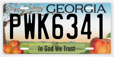 GA license plate PWK6341
