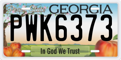GA license plate PWK6373