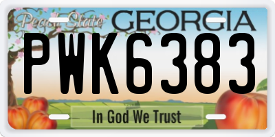 GA license plate PWK6383