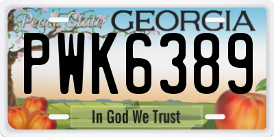 GA license plate PWK6389