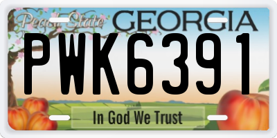 GA license plate PWK6391