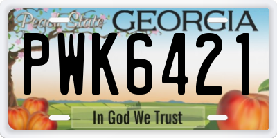 GA license plate PWK6421