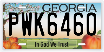 GA license plate PWK6460