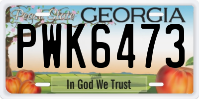 GA license plate PWK6473