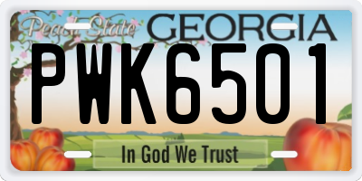 GA license plate PWK6501