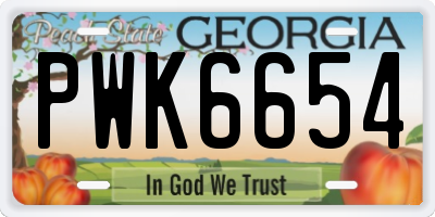GA license plate PWK6654