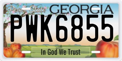 GA license plate PWK6855