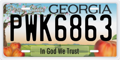 GA license plate PWK6863