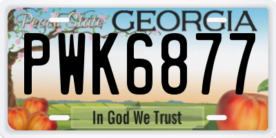 GA license plate PWK6877