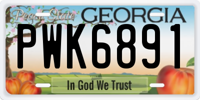 GA license plate PWK6891