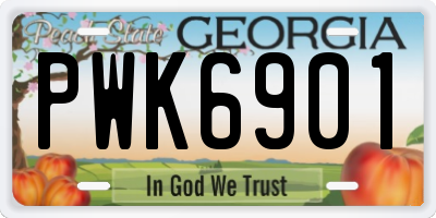 GA license plate PWK6901