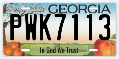 GA license plate PWK7113