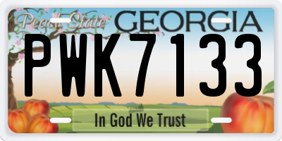 GA license plate PWK7133
