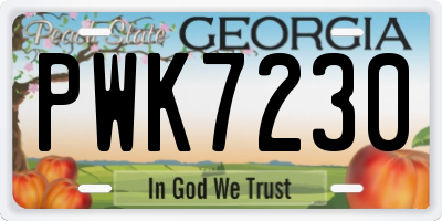 GA license plate PWK7230