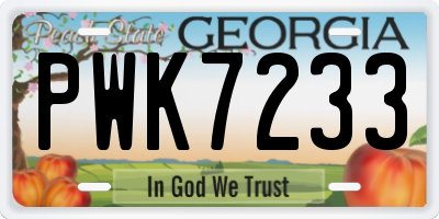 GA license plate PWK7233