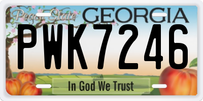 GA license plate PWK7246