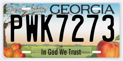 GA license plate PWK7273